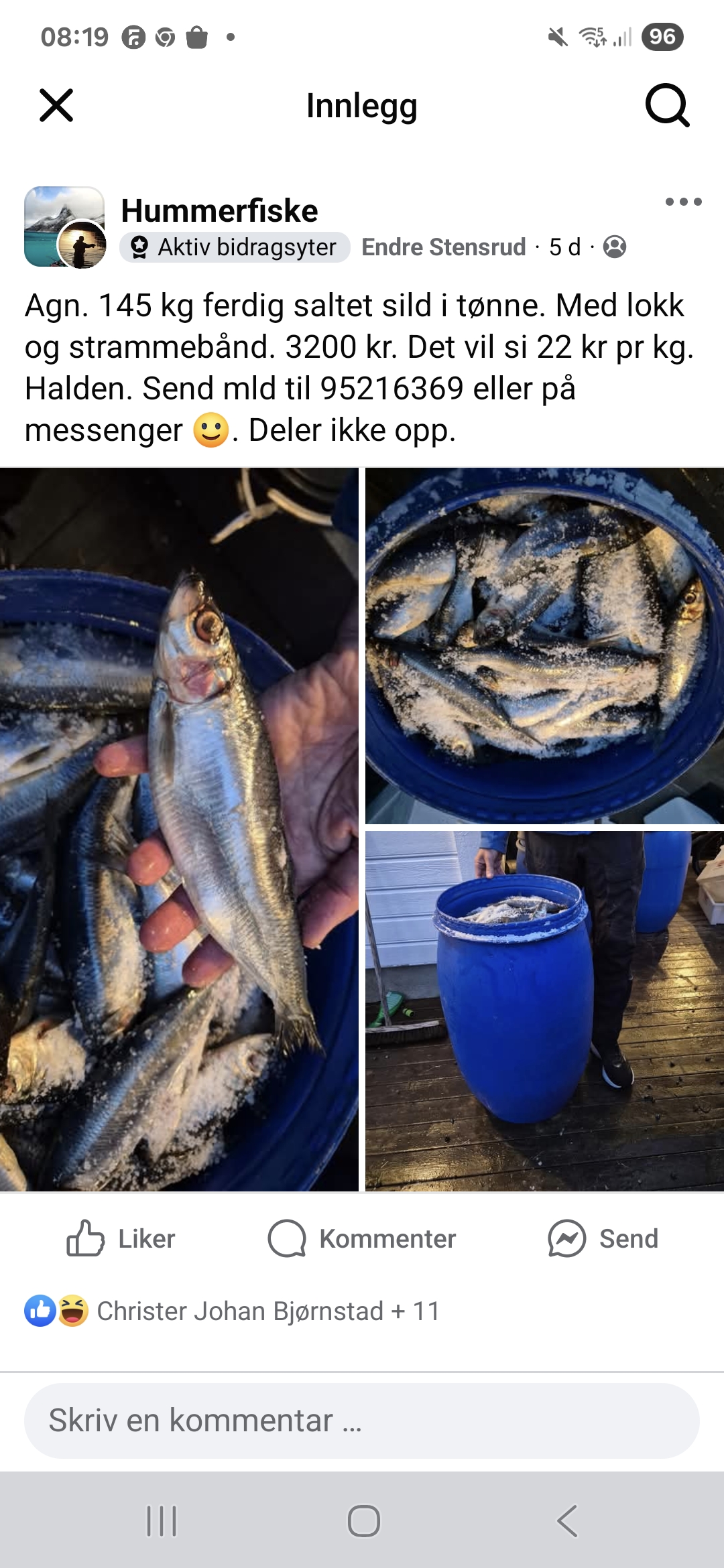 Agn. Saltet stor sild i tønne 145 kg.